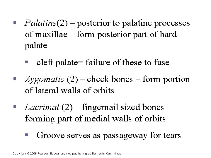 The Facial Bones § Palatine(2) – posterior to palatine processes of maxillae – form