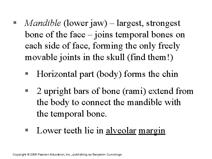 The Facial Bones § Mandible (lower jaw) – largest, strongest bone of the face