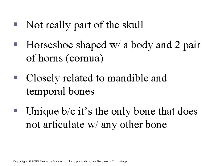 The Hyoid Bone § Not really part of the skull § Horseshoe shaped w/