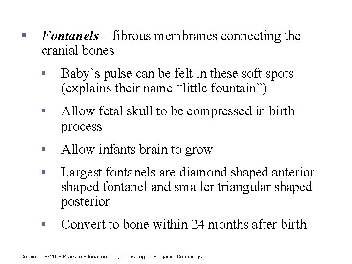 The Fetal Skull § Fontanels – fibrous membranes connecting the cranial bones § Baby’s