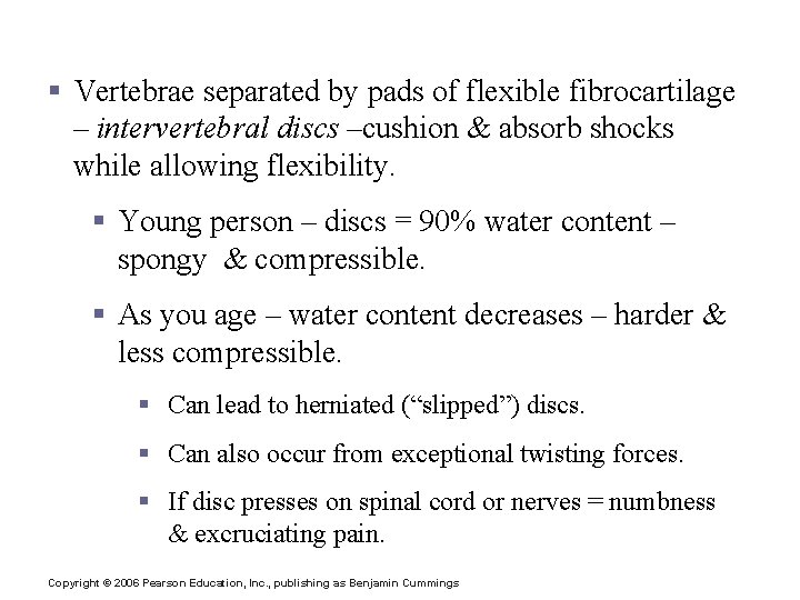 The Vertebral Column § Vertebrae separated by pads of flexible fibrocartilage – intervertebral discs