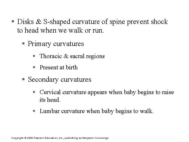 The Vertebral Column § Disks & S-shaped curvature of spine prevent shock to head