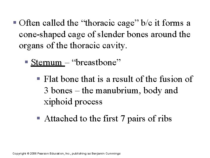 Bony Thorax § Often called the “thoracic cage” b/c it forms a cone-shaped cage