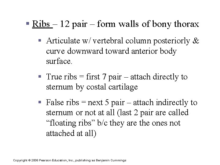 Bony Thorax § Ribs – 12 pair – form walls of bony thorax §