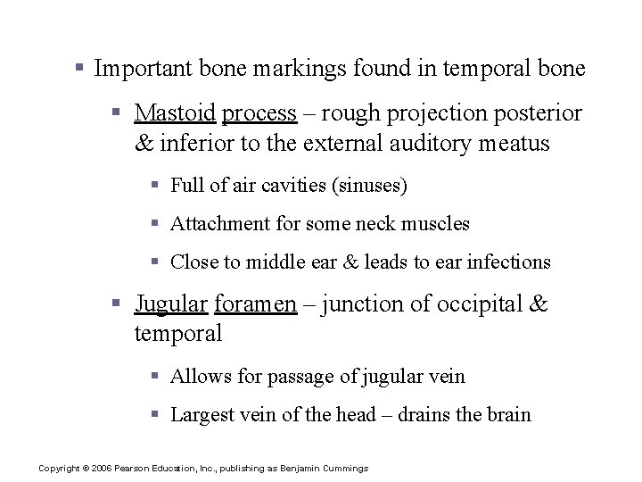 The Cranium § Important bone markings found in temporal bone § Mastoid process –