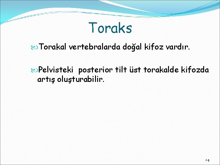 Toraks Torakal vertebralarda doğal kifoz vardır. Pelvisteki posterior tilt üst torakalde kifozda artış oluşturabilir.