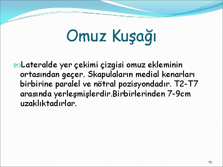 Omuz Kuşağı Lateralde yer çekimi çizgisi omuz ekleminin ortasından geçer. Skapulaların medial kenarları birbirine