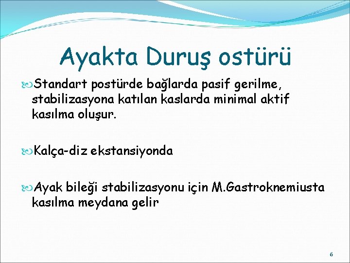 Ayakta Duruş ostürü Standart postürde bağlarda pasif gerilme, stabilizasyona katılan kaslarda minimal aktif kasılma