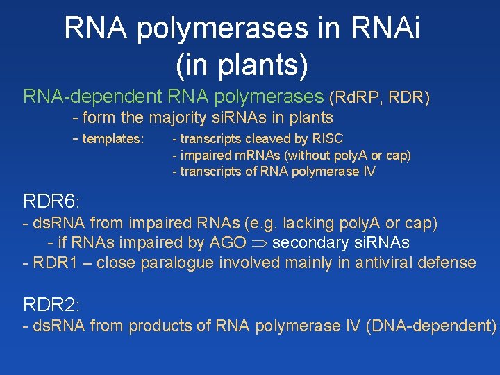 RNA polymerases in RNAi (in plants) RNA-dependent RNA polymerases (Rd. RP, RDR) - form