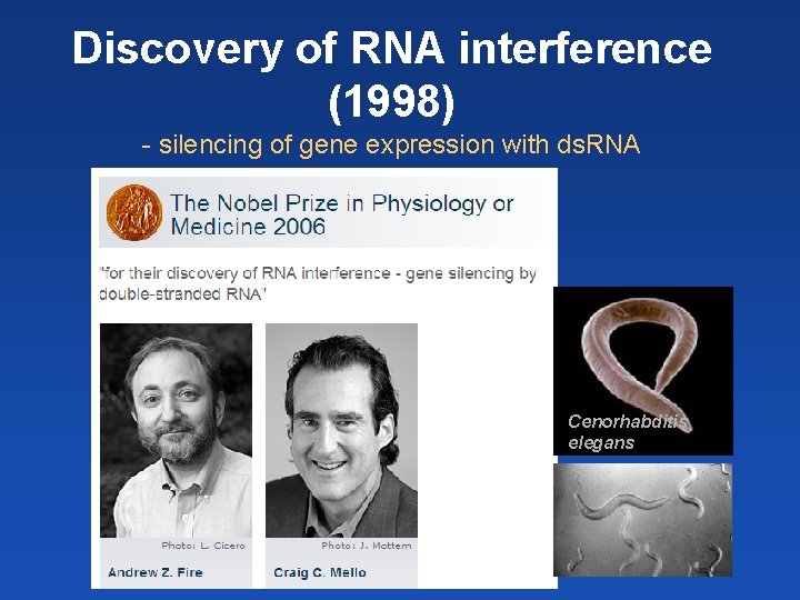 Discovery of RNA interference (1998) - silencing of gene expression with ds. RNA Cenorhabditis