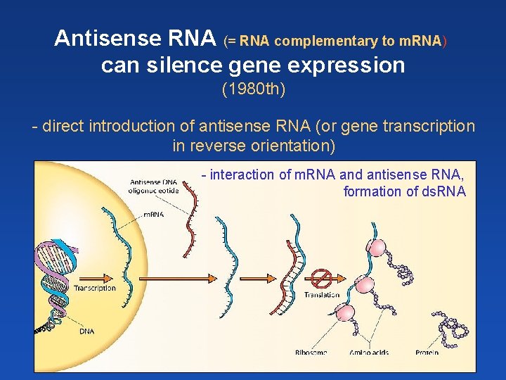Antisense RNA (= RNA complementary to m. RNA) can silence gene expression (1980 th)