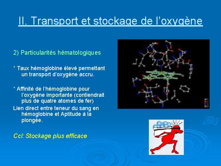 II. Transport et stockage de l’oxygène 2) Particularités hématologiques * Taux hémoglobine élevé permettant