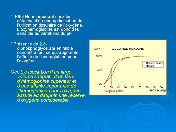 * Effet Bohr important chez les cétacés, d’où une optimisation de l’utilisation tissulaire de