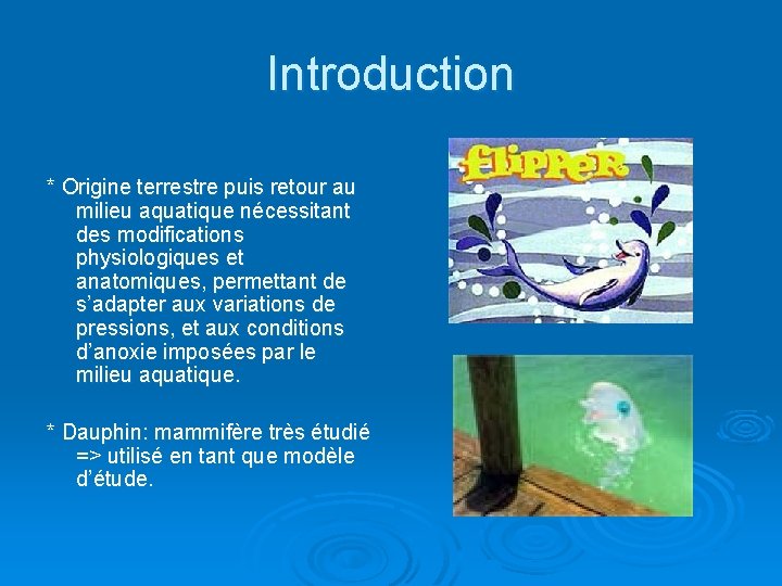 Introduction * Origine terrestre puis retour au milieu aquatique nécessitant des modifications physiologiques et Introduction * Origine terrestre puis retour au milieu aquatique nécessitant des modifications physiologiques et