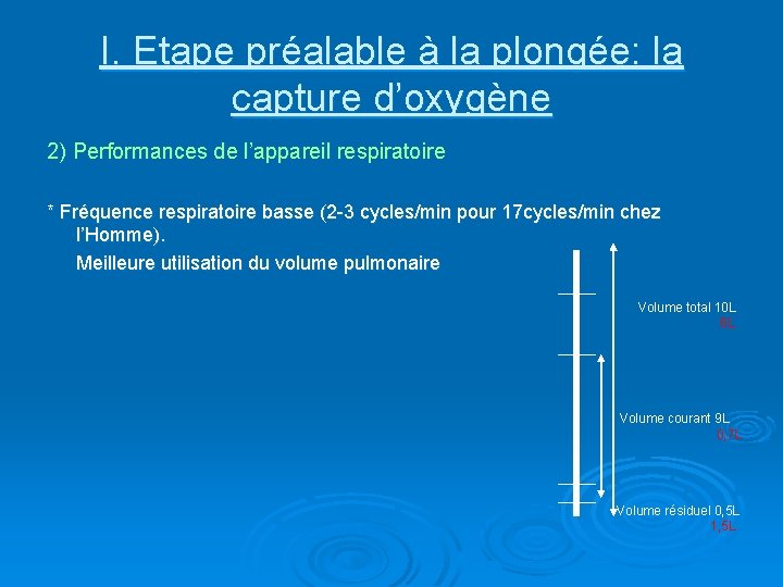 I. Etape préalable à la plongée: la capture d’oxygène 2) Performances de l’appareil respiratoire I. Etape préalable à la plongée: la capture d’oxygène 2) Performances de l’appareil respiratoire