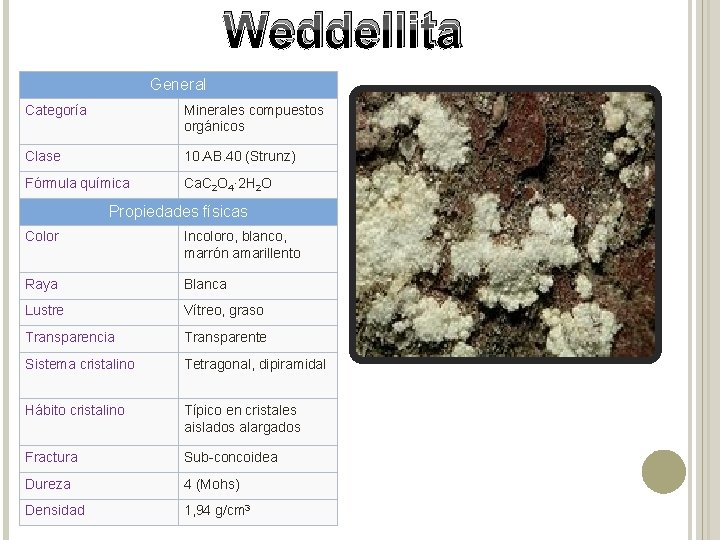Weddellita General Categoría Minerales compuestos orgánicos Clase 10. AB. 40 (Strunz) Fórmula química Ca.