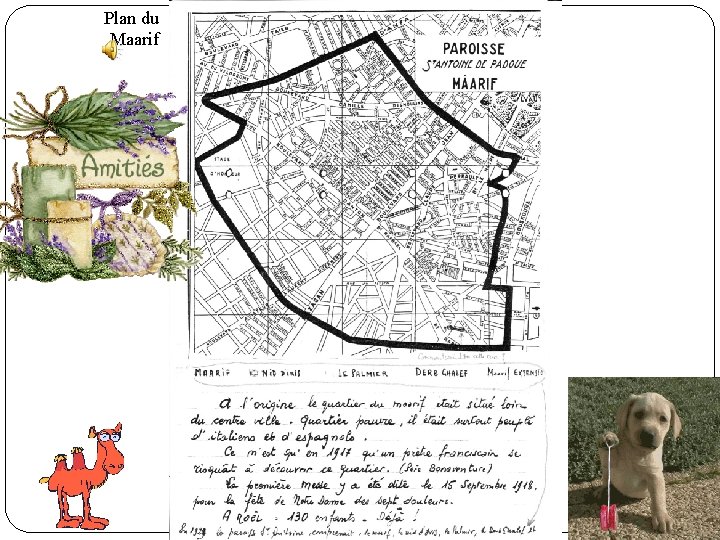 Plan du Maarif 