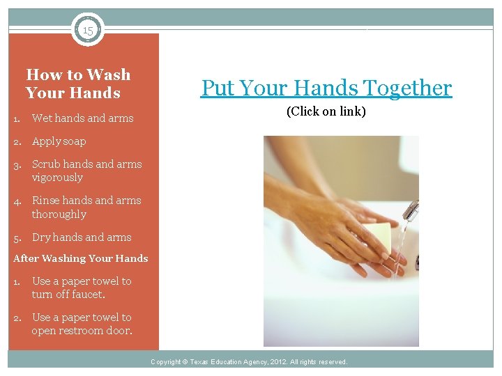 15 How to Wash Your Hands 1. Wet hands and arms 2. Apply soap