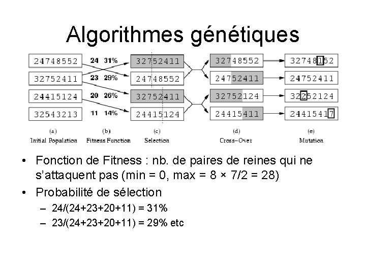 Algorithmes génétiques • Fonction de Fitness : nb. de paires de reines qui ne Algorithmes génétiques • Fonction de Fitness : nb. de paires de reines qui ne