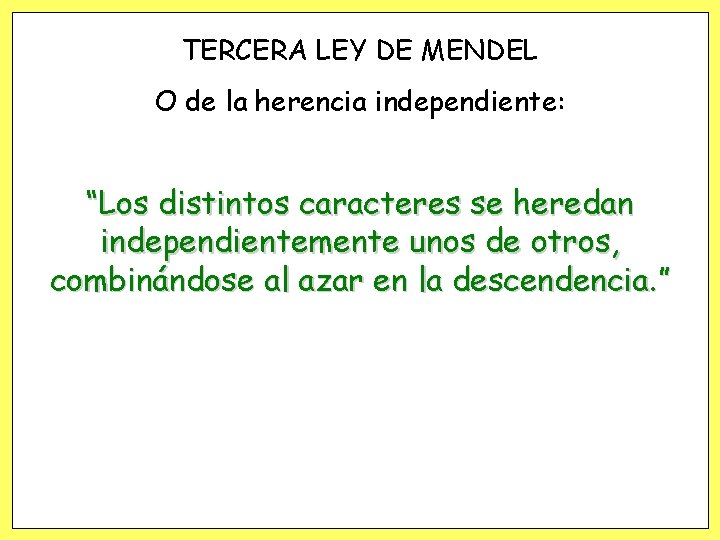 TERCERA LEY DE MENDEL O de la herencia independiente: “Los distintos caracteres se heredan