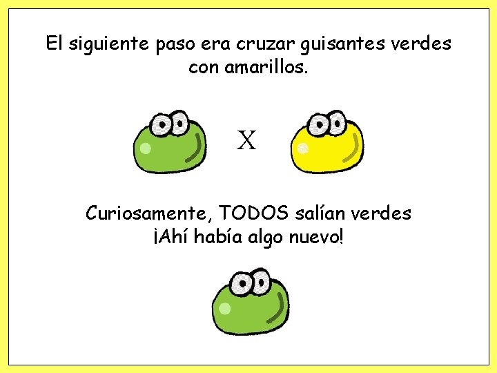 El siguiente paso era cruzar guisantes verdes con amarillos. X Curiosamente, TODOS salían verdes