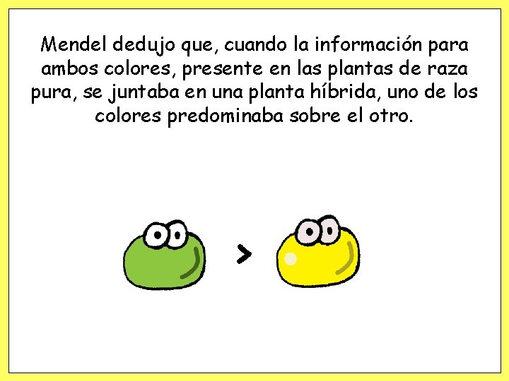 Mendel dedujo que, cuando la información para ambos colores, presente en las plantas de