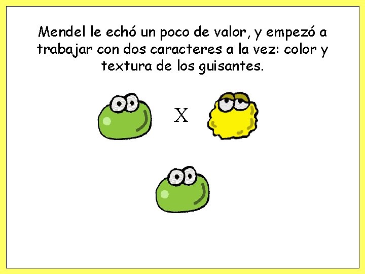 Mendel le echó un poco de valor, y empezó a trabajar con dos caracteres