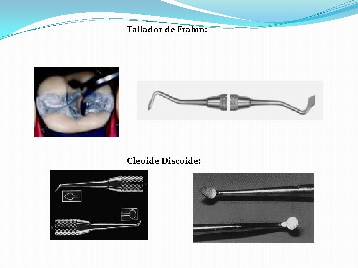 Tallador de Frahm: Cleoide Discoide: Tallador de Frahm: Cleoide Discoide: