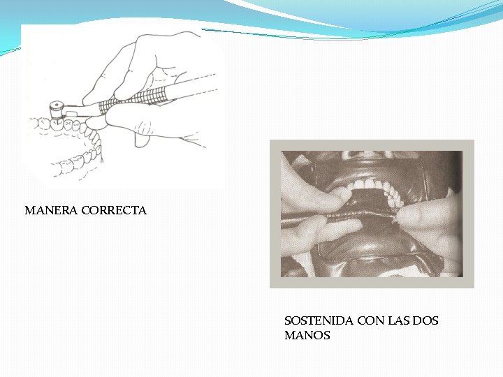 MANERA CORRECTA SOSTENIDA CON LAS DOS MANOS MANERA CORRECTA SOSTENIDA CON LAS DOS MANOS