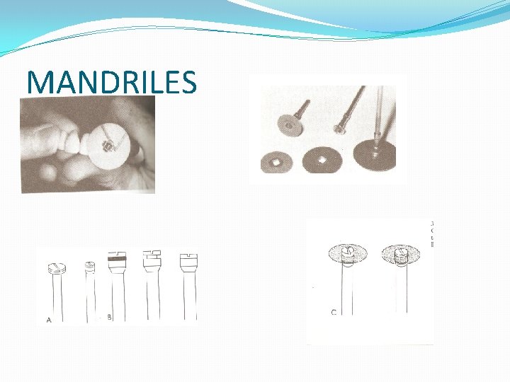 MANDRILES MANDRILES