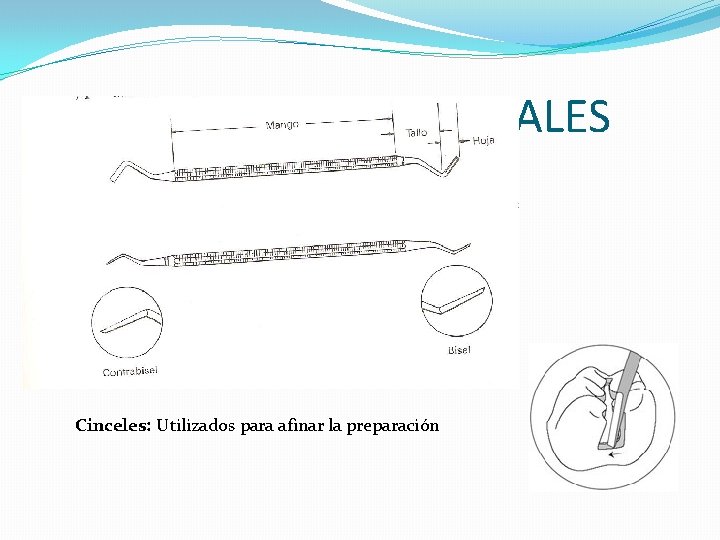 INSTRUMENTOS MANUALES Cinceles: Utilizados para afinar la preparación INSTRUMENTOS MANUALES Cinceles: Utilizados para afinar la preparación