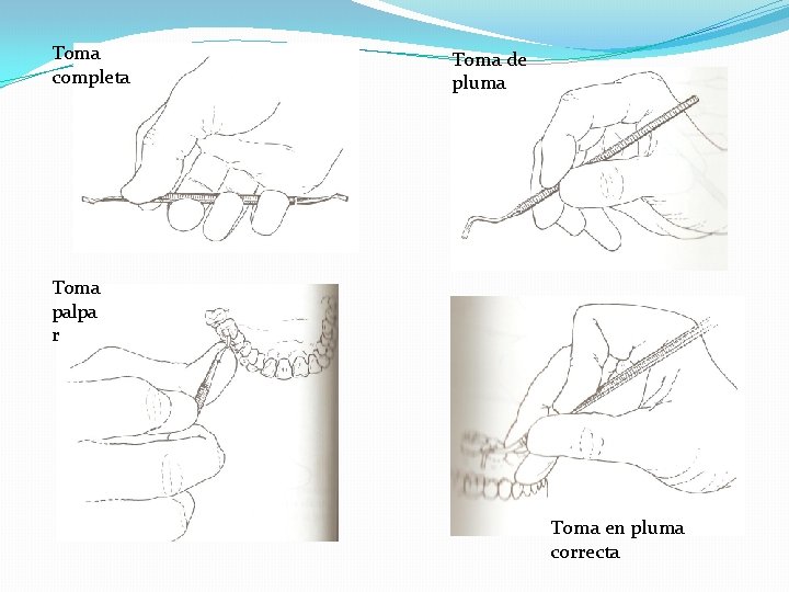 Toma completa Toma de pluma Toma palpa r Toma en pluma correcta Toma completa Toma de pluma Toma palpa r Toma en pluma correcta
