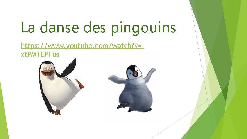 La danse des pingouins https: //www. youtube. com/watch? v=xt. PMTEPFug 