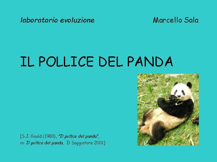 laboratorio evoluzione Marcello Sala IL POLLICE DEL PANDA [S. J. Gould (1980), “Il pollice