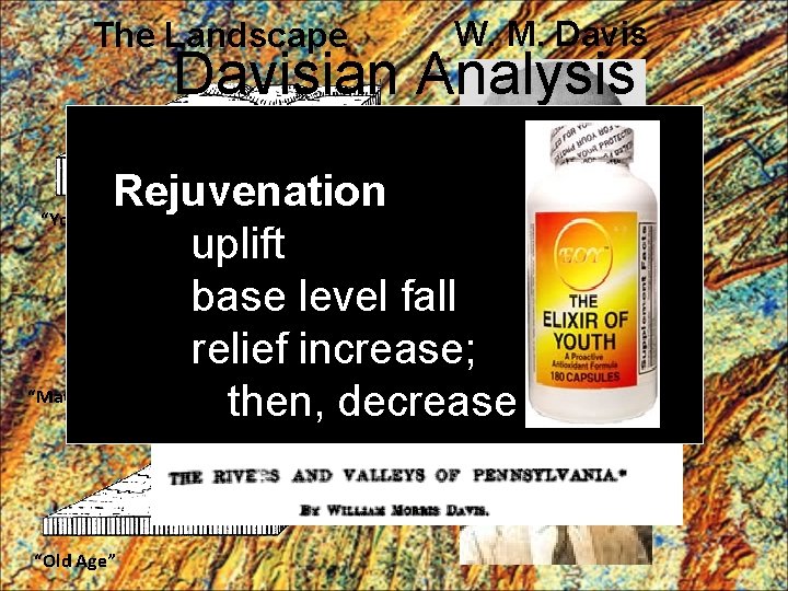 The Landscape W. M. Davisian Analysis Rejuvenation “Youth” uplift base level fall relief increase;