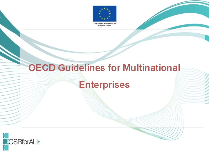 OECD Guidelines for Multinational Enterprises 