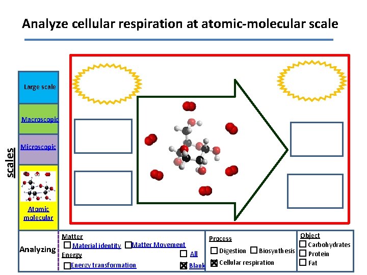 Analyze cellular respiration at atomic-molecular scale Large scales Macroscopic Microscopic Atomic molecular Analyzing Object