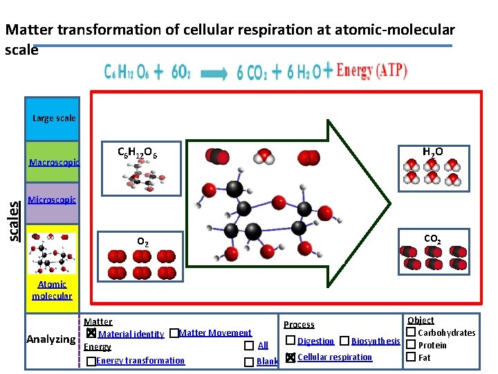 Matter transformation of cellular respiration at atomic-molecular scale Large scales Macroscopic C 6 H