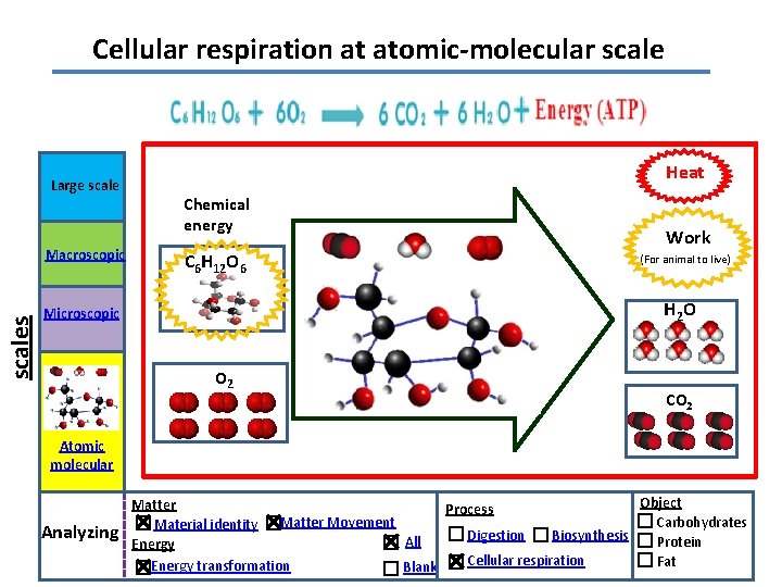Cellular respiration at atomic-molecular scale Large scales Macroscopic Heat Chemical energy C 6 H