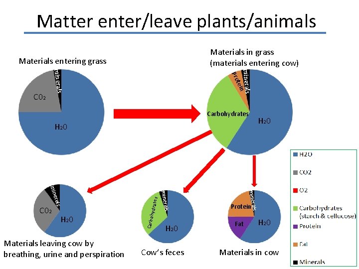 Matter enter/leave plants/animals Materials in grass (materials entering cow) Materials entering grass minerals tein