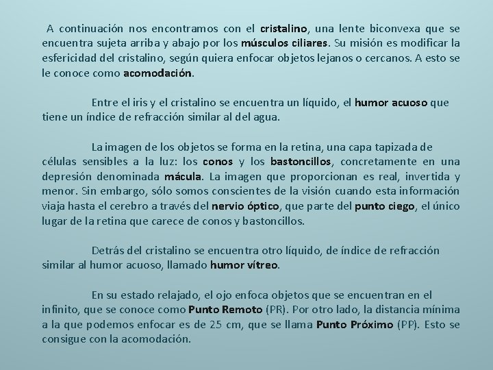  A continuación nos encontramos con el cristalino, una lente biconvexa que se encuentra