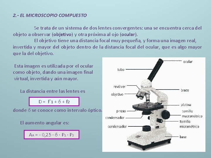2. - EL MICROSCOPIO COMPUESTO Se trata de un sistema de dos lentes convergentes: