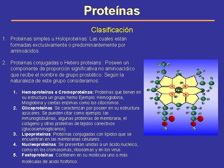 Proteínas Clasificación 1. Proteínas simples u Holoproteínas: Las cuales están formadas exclusivamente o predominantemente