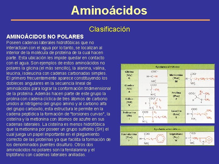 Aminoácidos Clasificación AMINOÁCIDOS NO POLARES Poseen cadenas laterales hidrofóbicas que no interactúan con el