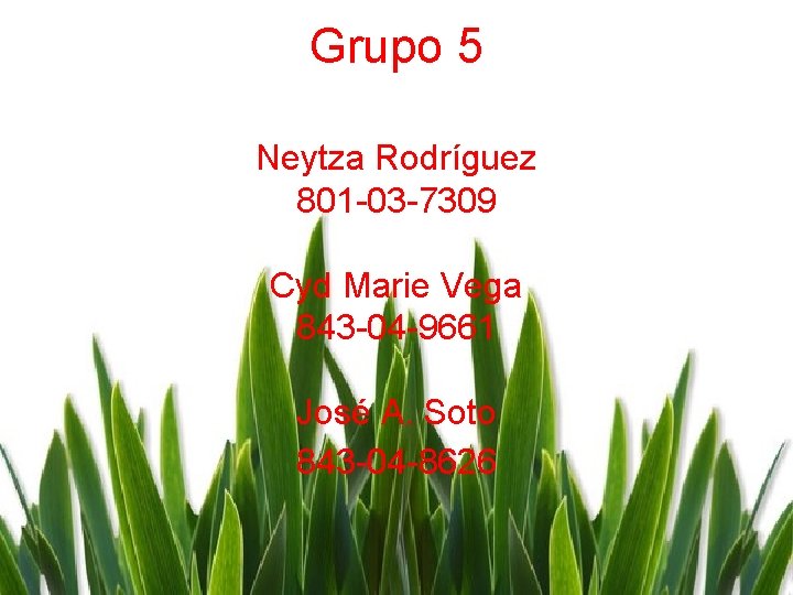 Grupo 5 Neytza Rodríguez 801 -03 -7309 Cyd Marie Vega 843 -04 -9661 José