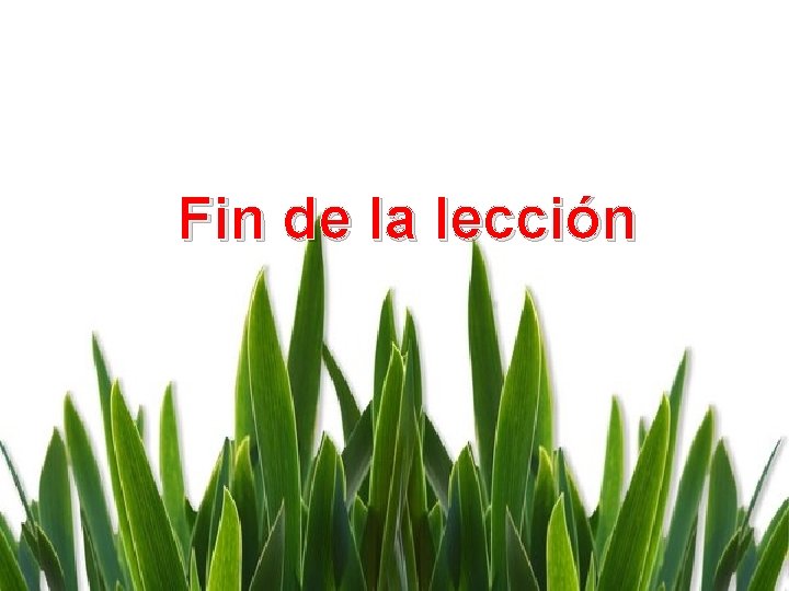 Fin de la lección 