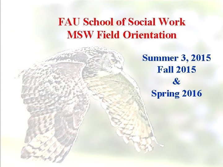 FAU School of Social Work MSW Field Orientation Summer 3, 2015 Fall 2015 &