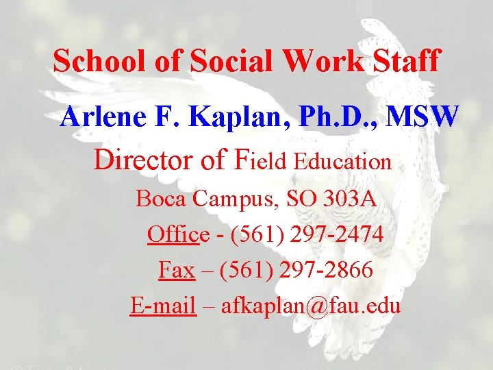 School of Social Work Staff Arlene F. Kaplan, Ph. D. , MSW Director of