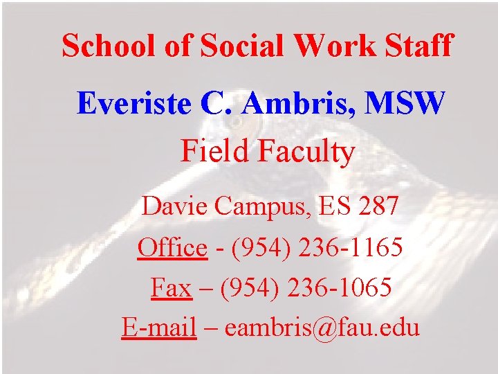 School of Social Work Staff Everiste C. Ambris, MSW Field Faculty Davie Campus, ES