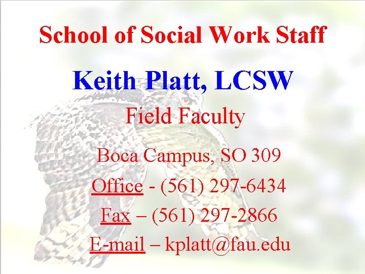 Fau School Of Social Work Msw Field Orientation